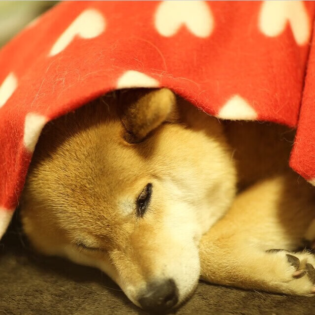 足球世界的地壳运动，当传统堡垒遭遇新大陆的冲击