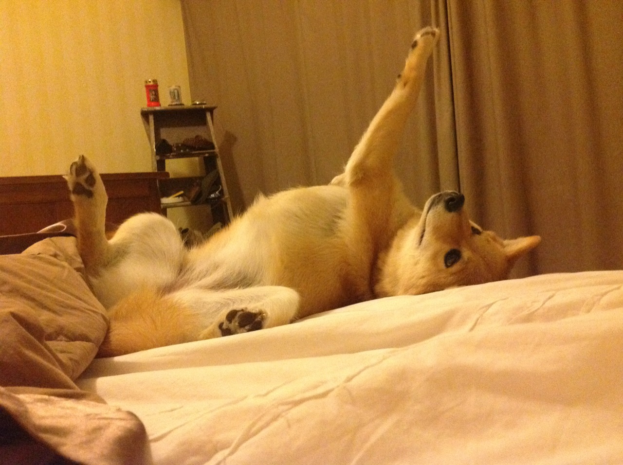 雷火电竞网站-破晓的锤音，当活塞的铁壁吞没辽河，克莱的三分雨浇熄最后悬念