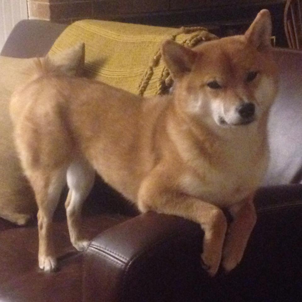 雷火电竞-双面神，当76人带走国王时，布克正在世界的另一端接管比赛