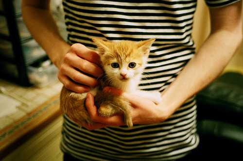 候选（思维扩展）