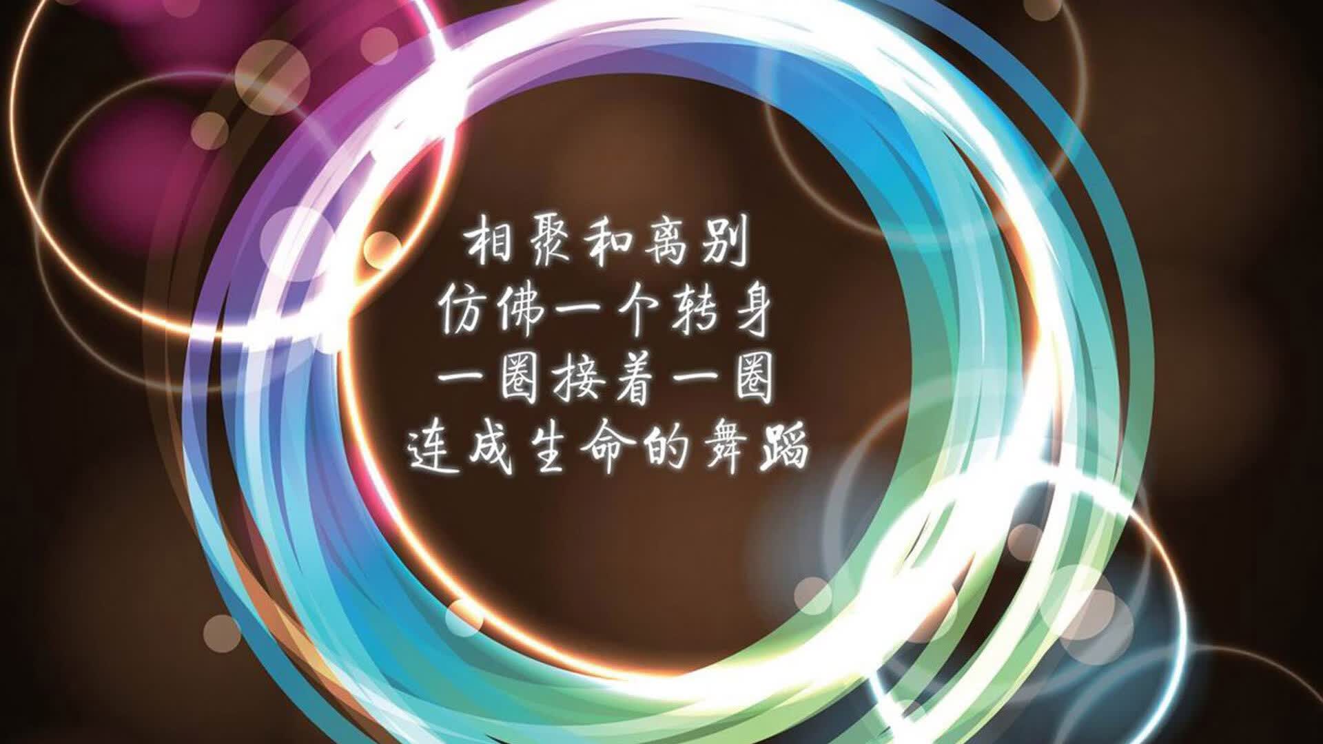 2026世界杯D组生死战，哥斯达黎加血色风暴横扫美国，C罗领衔锋线绝地反击